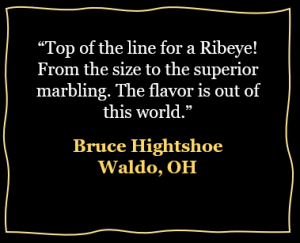 Testimonial - Bruce Hightshoe
