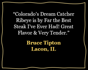 Testimonial - Bruce Tipton