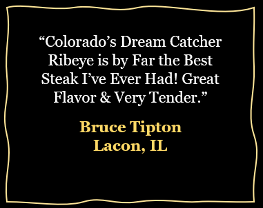Testimonial - Bruce Tipton